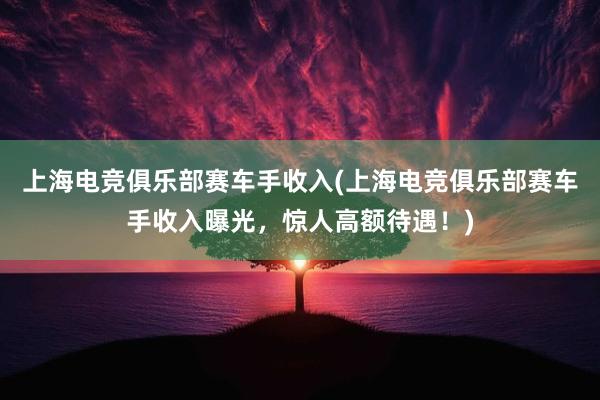 上海电竞俱乐部赛车手收入(上海电竞俱乐部赛车手收入曝光，惊人高额待遇！)