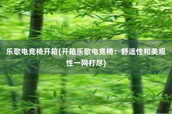 乐歌电竞椅开箱(开箱乐歌电竞椅：舒适性和美观性一网打尽)