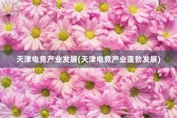 天津电竞产业发展(天津电竞产业蓬勃发展)