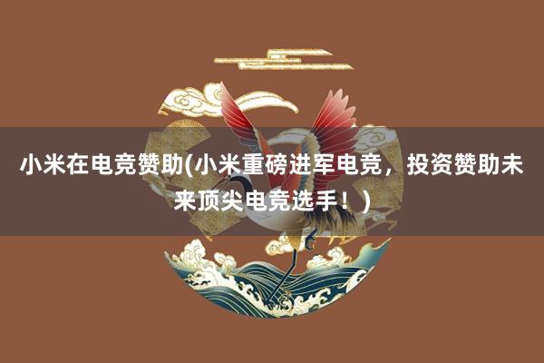 小米在电竞赞助(小米重磅进军电竞，投资赞助未来顶尖电竞选手！)