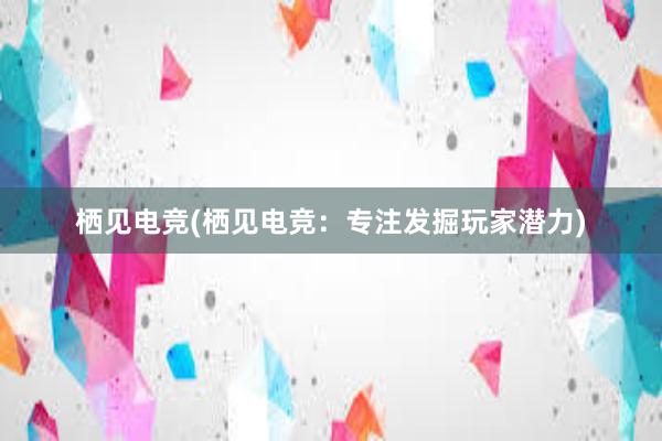 栖见电竞(栖见电竞：专注发掘玩家潜力)