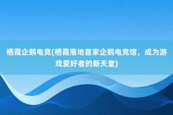 栖霞企鹅电竞(栖霞落地首家企鹅电竞馆，成为游戏爱好者的新天堂)