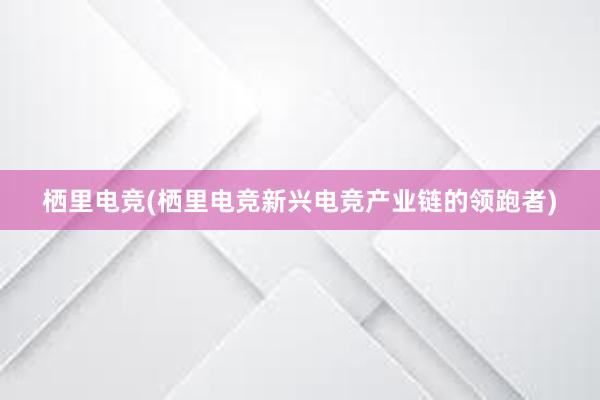 栖里电竞(栖里电竞新兴电竞产业链的领跑者)