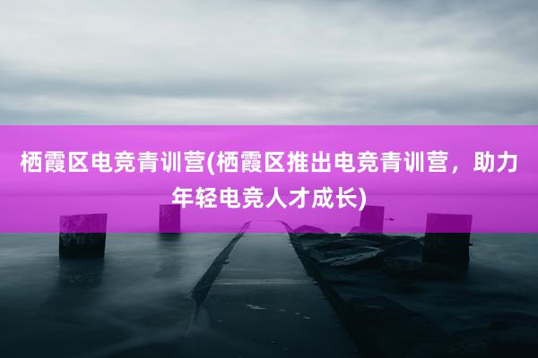 栖霞区电竞青训营(栖霞区推出电竞青训营，助力年轻电竞人才成长)