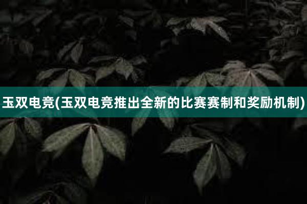 玉双电竞(玉双电竞推出全新的比赛赛制和奖励机制)