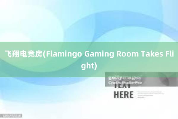 飞翔电竞房(Flamingo Gaming Room Takes Flight)