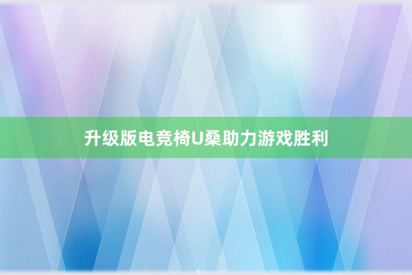 升级版电竞椅U桑助力游戏胜利