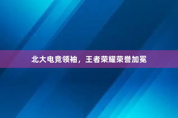 北大电竞领袖，王者荣耀荣誉加冕