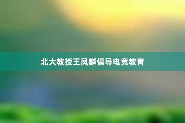 北大教授王凤麟倡导电竞教育