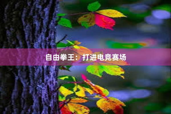 自由拳王：打进电竞赛场