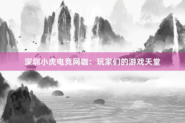 深圳小虎电竞网咖：玩家们的游戏天堂