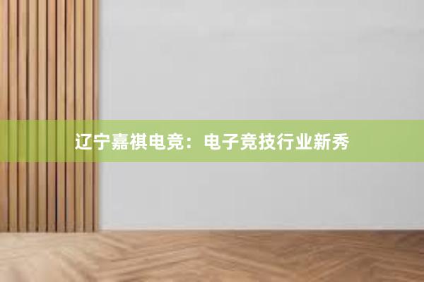 辽宁嘉祺电竞：电子竞技行业新秀